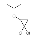 1,1-二氯-2-异丙氧基环丙烷 结构式