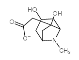 6-乙酰氧基托品 结构式
