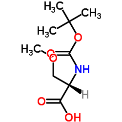 N-Boc-O-甲基-L-丝氨酸二环己胺盐 结构式