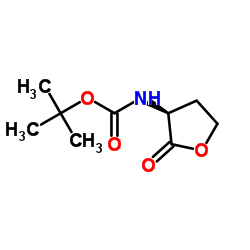 (S)-(-)-alpha-(Boc-氨基)-gamma-丁酸内酯 结构式
