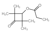 Cyclobutanone,2,2,4,4-tetramethyl-3-(1-oxopropoxy)- 结构式