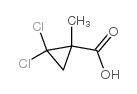 2,2-二氯-1-甲基环丙烷羧酸 结构式