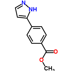 4-(1H-吡唑-3-基)苯甲酸甲酯 结构式