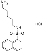 N-(5-氨基戊基)-1-萘磺酰亚胺盐酸盐 结构式