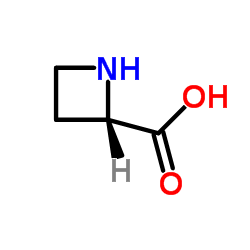 L-氮杂环丁烷-2-羧酸 结构式