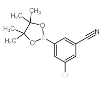 3-氯-5-氰基苯硼酸频哪醇酯 结构式