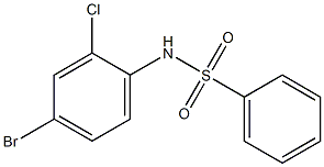 N-(4-溴-2-氯苯基)苯磺酰胺 结构式
