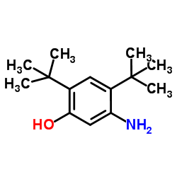 5-氨基-2,4-二-叔丁基-苯酚 结构式