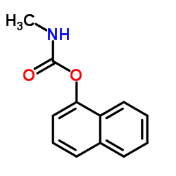 甲萘威 结构式