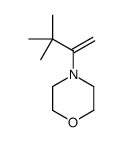 Morpholine, 4-(2,2-dimethyl-1-methylenepropyl)- 结构式