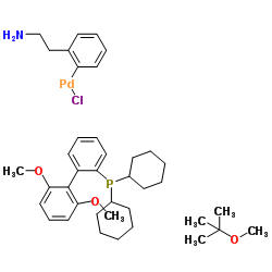 氯(2-二环己基膦基-2',6'-二甲氧基-1,1'-联苯基)[2-(2-氨基乙基苯基)]钯(II) 甲基叔丁基醚加合物 结构式