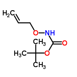 Carbamic acid, (2-propenyloxy)-, 1,1-dimethylethyl ester (9CI) 结构式