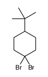 1,1-二溴-4-叔丁基环己烷 结构式