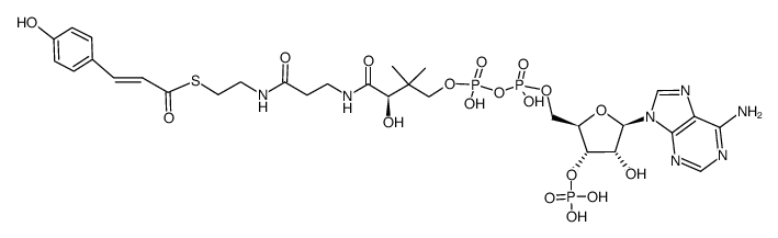 Coenzyme A, S-[3-(4-hydroxyphenyl)-2-propenoate] 结构式
