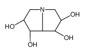 1,2,6,7-四羟基吡咯里西啶 结构式