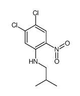 4,5-二氯-N-(2-甲基丙基)-2-硝基苯胺 结构式