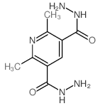 2,6-二甲基吡啶-3,5-二碳酰肼 结构式