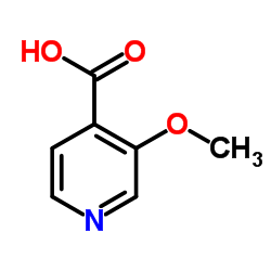 3-甲氧基-4-吡啶羧酸 结构式