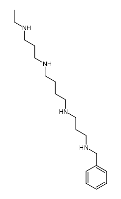 N1-[3-(乙氨基)丙基]-N4-[3-(苄氨基)丙基]-1,4-丁二胺 结构式