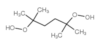 2,5-二甲基正己烷-2,5-二甲羟基过氧化物 结构式
