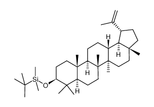 Lup-20(29)-ene, 3-[[(1,1-dimethylethyl)dimethylsilyl]oxy]-, (3β)- 结构式