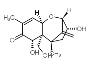 去环氧-脱氧雪腐镰刀菌烯醇 结构式
