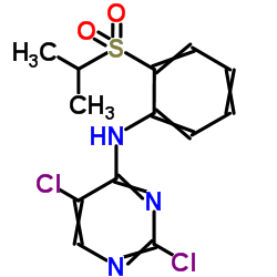 2,5-二氯-N-[2-[(1-甲基乙基)磺酰基]苯基]-4-嘧啶胺 结构式