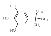 5-叔-丁基焦酚 结构式