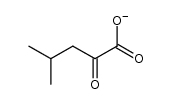 4-甲基-2-氧代戊酸根(1-) 结构式