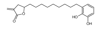 2(3H)-Furanone, 5-[9-(2,3-dihydroxyphenyl)nonyl]dihydro-3-methylene- 结构式