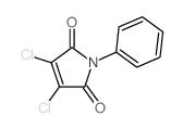 2,3-二氯-N-苯基马来酰亚胺 结构式