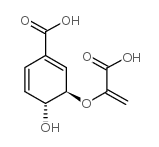 分支酸 结构式