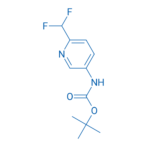 (6-Difluoromethyl-pyridin-3-yl)-carbamic acid tert-butyl ester 结构式