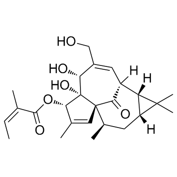 巨大戟醇-3-O-当归酸酯 结构式