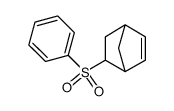 Bicyclo[2.2.1]hept-2-ene, 5-(phenylsulfonyl)- 结构式