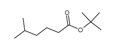 5-甲基己酸叔丁酯 结构式