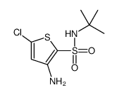 3-氨基-N-叔丁基-5-氯噻吩-2-磺酰胺 结构式