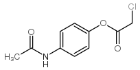氯乙酸-4-乙酰氨基苯酯 结构式