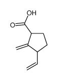 3-乙烯基-2-亚甲基环戊烷羧酸 结构式