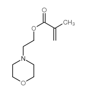 2-甲基-2-丙烯酸2-(4-吗啉基)乙基酯 结构式