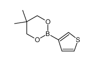 3-噻吩硼酸新戊二醇酯 结构式