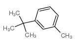 3-叔丁基甲苯 结构式