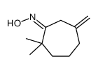 2,2-二甲基-6-亚甲基环庚酮肟 结构式