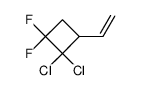 2,2-二氯-3-乙烯基-1,1-二氟环丁烷 结构式