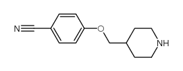 4-(哌啶-4-基甲氧基)苯甲腈 结构式