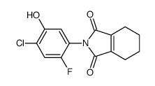 2-(4-氯-2-氟-5-羟基苯基)-4,5,6,7-四氢异吲哚-1,3-二酮 结构式