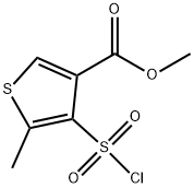 4-(氯磺酰基)-5-甲基-3-噻吩羧酸甲酯 结构式