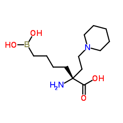 精氨酸酶 结构式