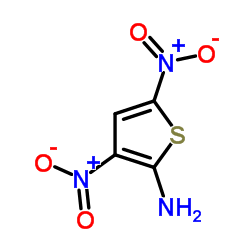 2-氨基-3,5-二硝基噻吩 结构式