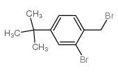 2-溴-1-(溴甲基)-4-叔丁基苯 结构式
